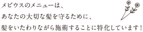 メビウス人気メニュー