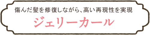 ジェリーカール