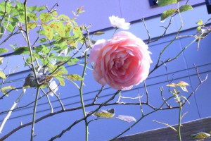 3506C53B-2782-46B1-B8C9-D5D98BC4CB3B